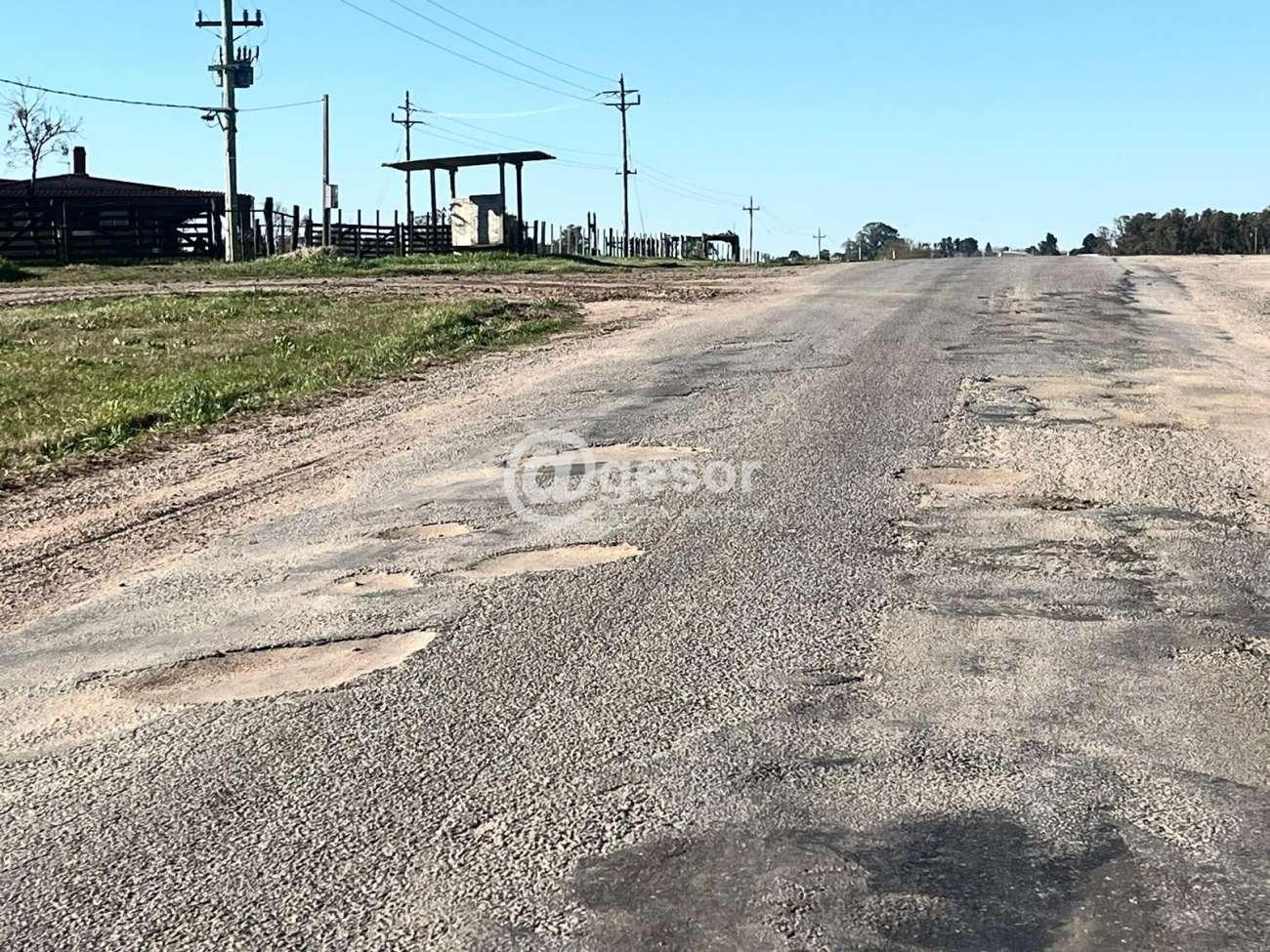 Image6